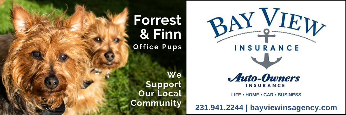 Bay View Insurance de Traverse City Michigan