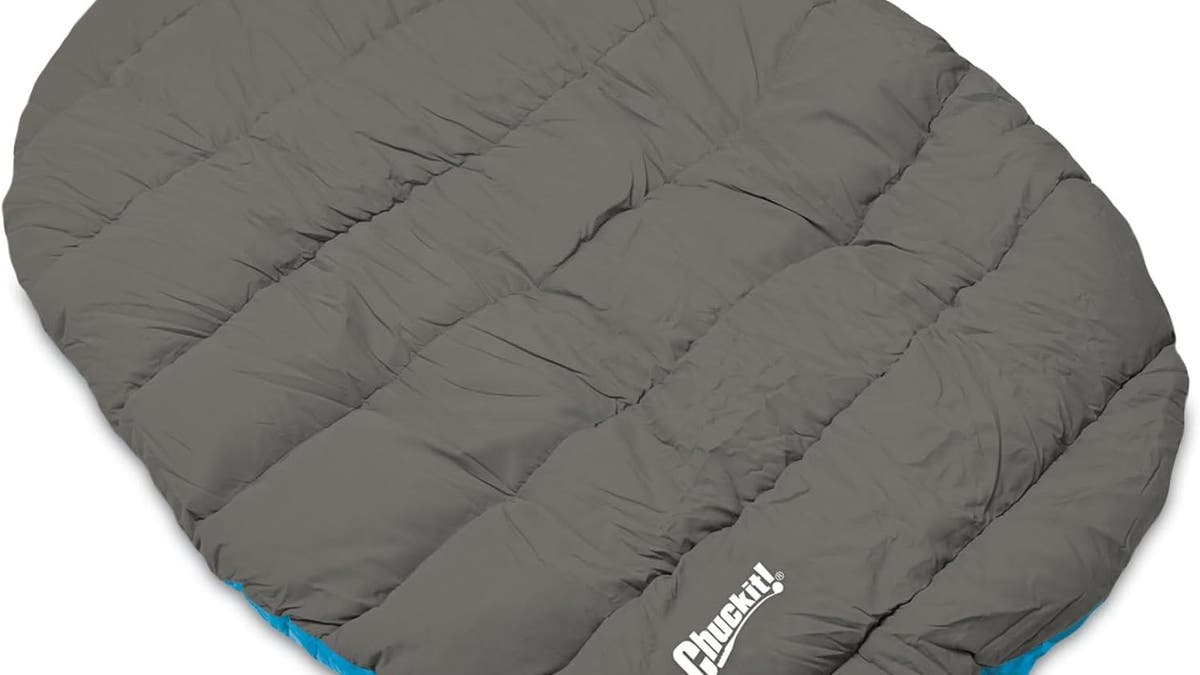 Las camas que podrán viajar son la forma de seguir a los propietarios de MOVE MOVE PET.