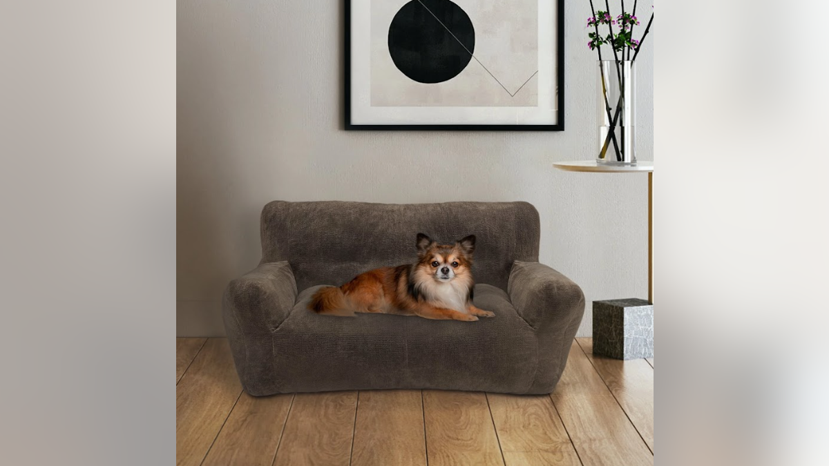 Marcas como Machombo ofrecen camas para mascotas que parecen muebles humanos reales, asegurando que sus holgazanes de mascotas en lujo.